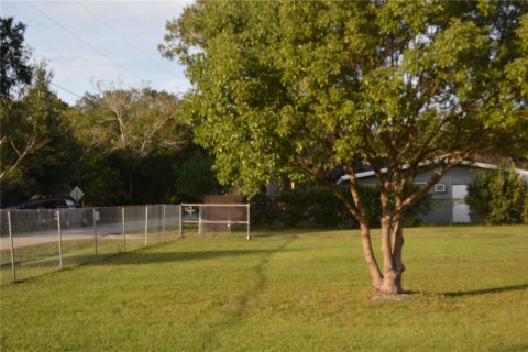 Terrain à vendre à Sanford, Floride № 1247256 - photo 6