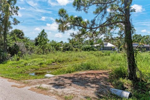 Land in Port Charlotte, Florida № 1316808 - photo 12