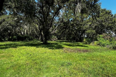 Land in Okeechobee, Florida № 738155 - photo 13