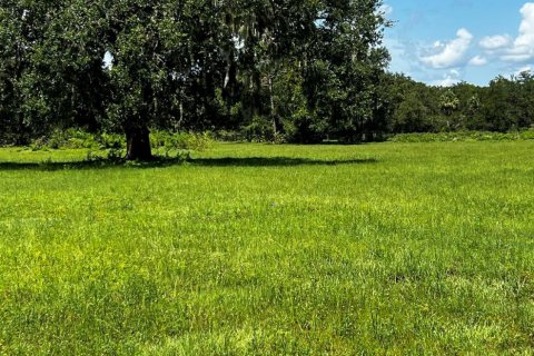 Land in Okeechobee, Florida № 738155 - photo 9