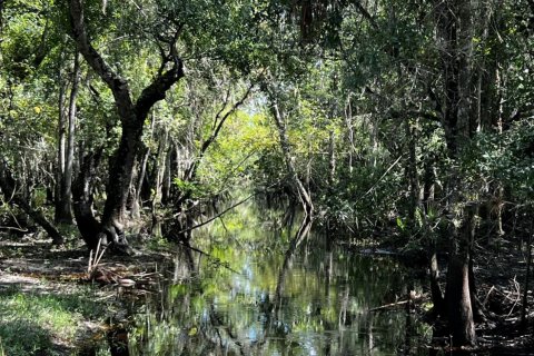 Land in Okeechobee, Florida № 738155 - photo 2