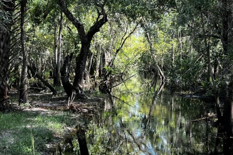 Land in Okeechobee, Florida № 738155 - photo 1