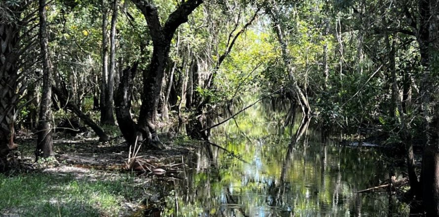 Land in Okeechobee, Florida № 738155