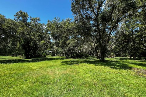 Land in Okeechobee, Florida № 738155 - photo 12