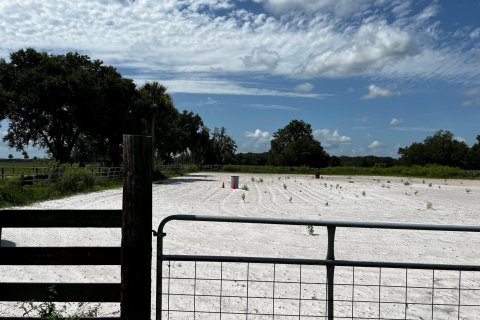 Land in Okeechobee, Florida № 738155 - photo 23