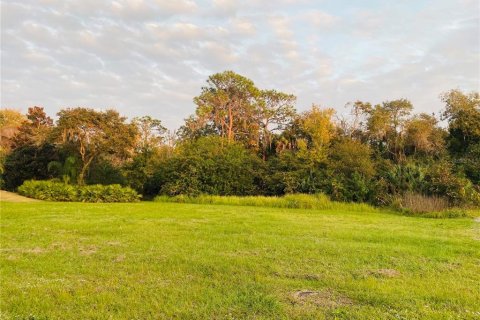 Land in Bradenton, Florida № 1290207 - photo 1