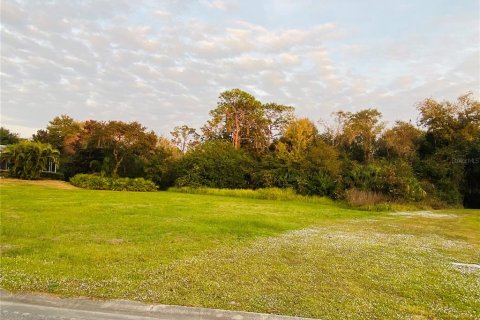 Land in Bradenton, Florida № 1290207 - photo 7