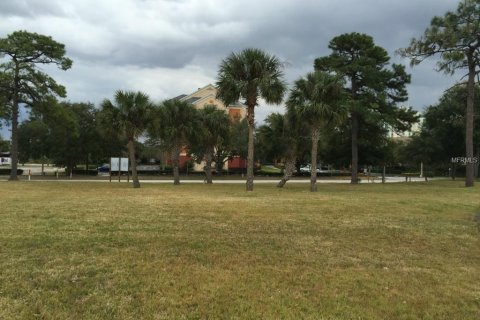 Terrain à vendre à Orlando, Floride № 229836 - photo 6