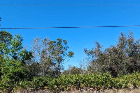 Land in Port Charlotte, Florida № 995206 - photo 16