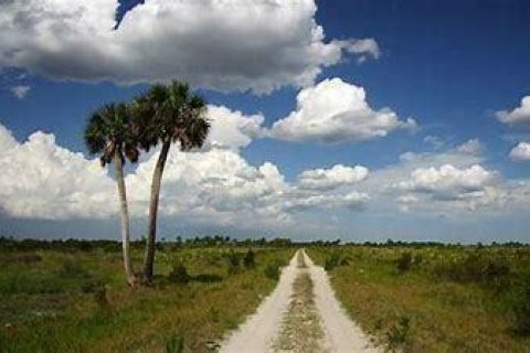 Land in Okeechobee, Florida № 1121167 - photo 18
