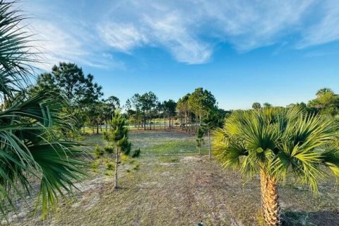 Купить земельный участок в Окичоби, Флорида № 1121167 - фото 15