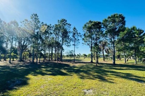 Купить земельный участок в Окичоби, Флорида № 1121167 - фото 8