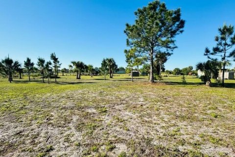 Купить земельный участок в Окичоби, Флорида № 1121167 - фото 7