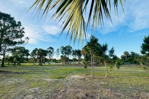 Land in Okeechobee, Florida № 1121167 - photo 16