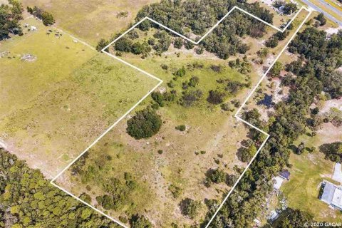 Terreno en venta en Bronson, Florida № 1378496 - foto 4