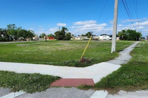 Land in Punta Gorda, Florida № 226443 - photo 2