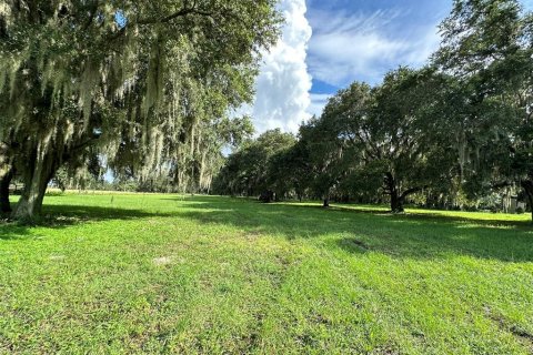 Land in Wesley Chapel, Florida № 1317477 - photo 6