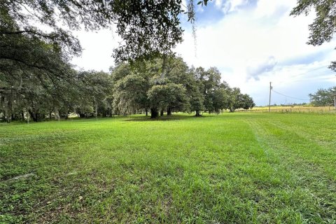 Terreno en venta en Wesley Chapel, Florida № 1317477 - foto 10