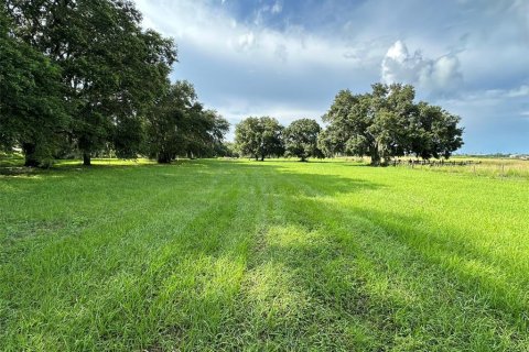 Land in Wesley Chapel, Florida № 1317477 - photo 4