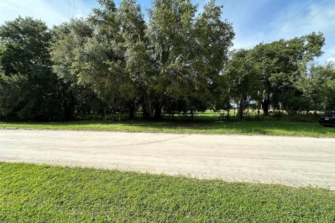 Terreno en venta en Wesley Chapel, Florida № 1317477 - foto 2