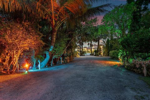 Villa ou maison à vendre à Wellington, Floride: 9 chambres, 946.86 m2 № 1103278 - photo 10