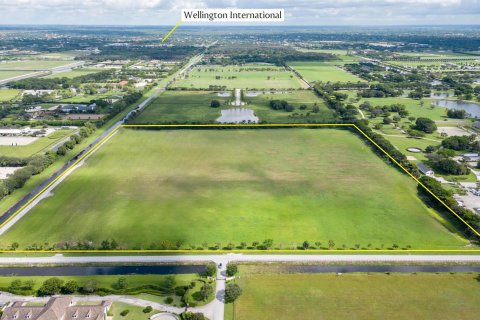 Купить земельный участок в Веллингтон, Флорида № 888328 - фото 2