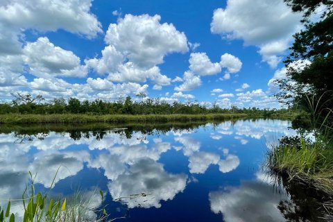 Tributary by Richmond American Homes sobre plano en Yulee, Florida № 452217 - foto 2