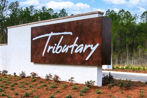 Tributary by Richmond American Homes sobre plano en Yulee, Florida № 452217 - foto 9