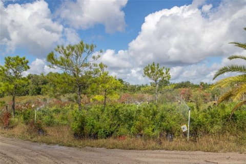 Land in Saint Augustine, Florida № 1398541 - photo 18