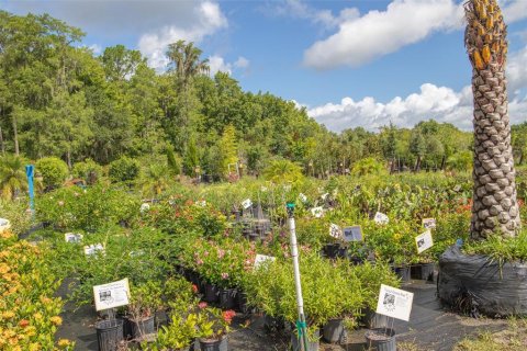 Land in Saint Augustine, Florida № 1398541 - photo 29