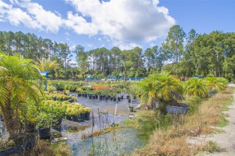 Land in Saint Augustine, Florida № 1398541 - photo 1