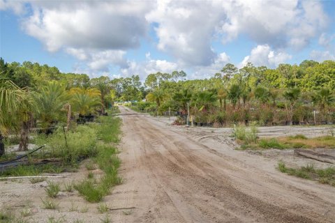 Terreno en venta en Saint Augustine, Florida № 1398541 - foto 17