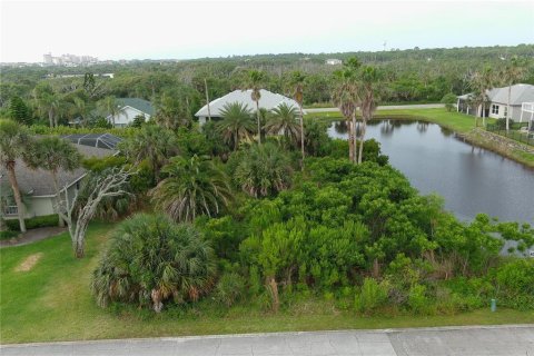 Land in Palm Coast, Florida № 1196265 - photo 2