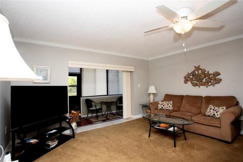 Condo in New Port Richey, Florida, 2 bedrooms  № 1198495 - photo 15