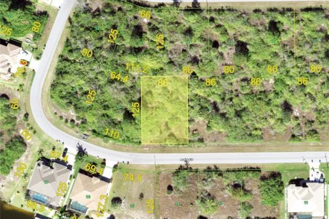 Купить земельный участок в Порт-Шарлотт, Флорида № 224499 - фото 1
