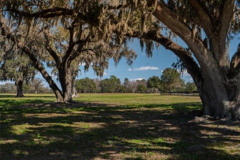 Land in Ocala, Florida № 1083167 - photo 1