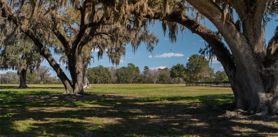 Terrain à Ocala, Floride № 1083167