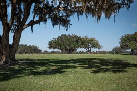 Terrain à vendre à Ocala, Floride № 1083167 - photo 5