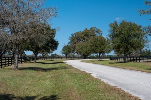 Terrain à vendre à Ocala, Floride № 1083167 - photo 4