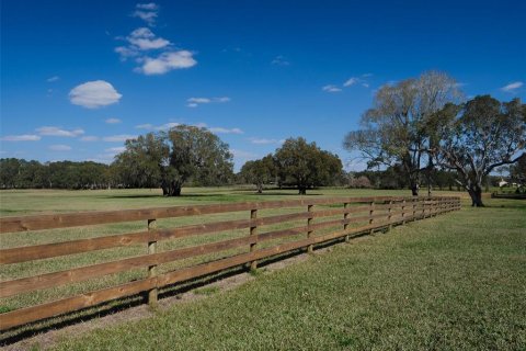 Land in Ocala, Florida № 1083167 - photo 12