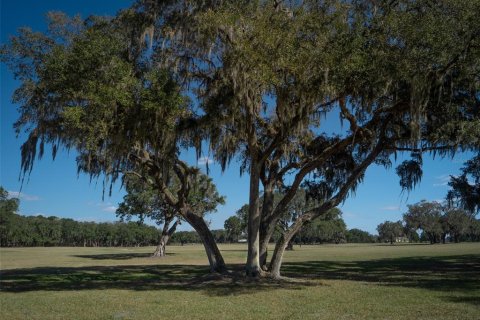 Terrain à vendre à Ocala, Floride № 1083167 - photo 17