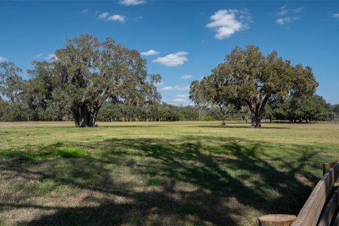 Terreno en venta en Ocala, Florida № 1083167 - foto 9