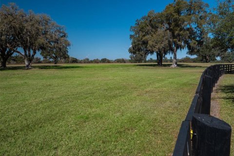 Terreno en venta en Ocala, Florida № 1083167 - foto 6