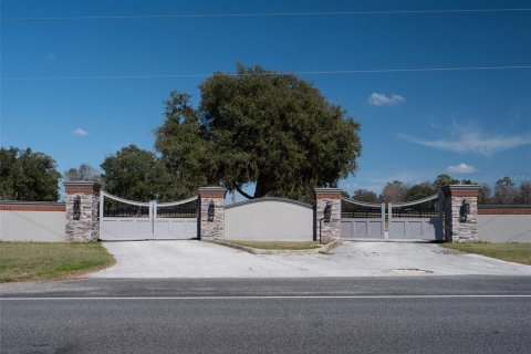 Land in Ocala, Florida № 1083167 - photo 2