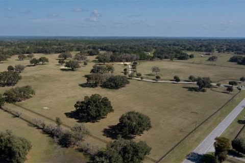 Terrain à vendre à Ocala, Floride № 1083167 - photo 16