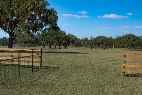 Terrain à vendre à Ocala, Floride № 1083167 - photo 11