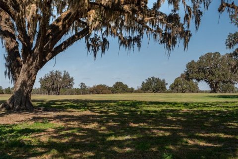 Terrain à vendre à Ocala, Floride № 1083167 - photo 8