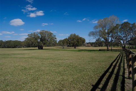 Terrain à vendre à Ocala, Floride № 1083167 - photo 14