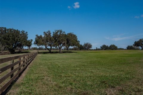 Terreno en venta en Ocala, Florida № 1083167 - foto 7