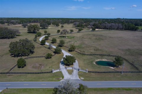 Terreno en venta en Ocala, Florida № 1083167 - foto 15